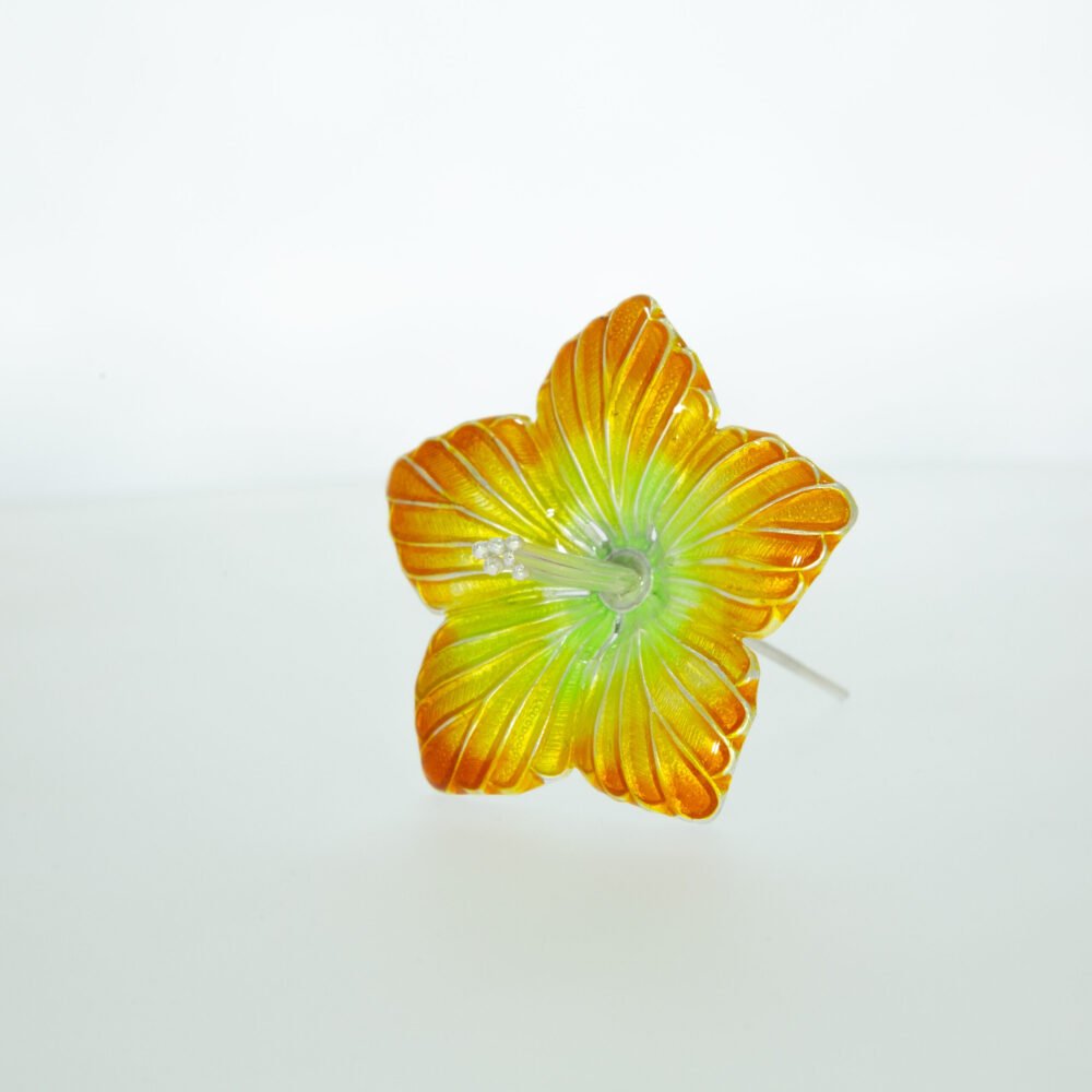 Silver Orange Color Hibiscus Flower-219174